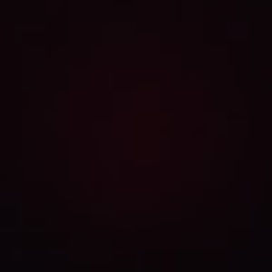 Meet your Posher, Bryce